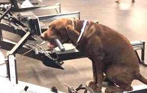 Entraînement Ergo - Jeudi 3 Avril - CRJS