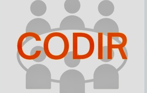 Réunion du Comité Directeur n’16