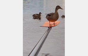 Samedi 30 Août - Entrainement pour tous