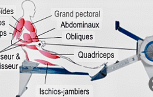 Entraînement Ergo - Jeudi 4 Décembre - 18h00