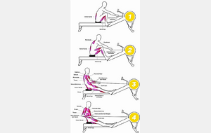 Entrainement Ergo  - Jeudi 29 Janvier - 19h00